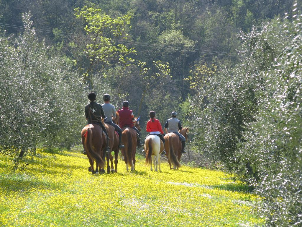 Paglia E Fieno Bed and Breakfast Villaga Exteriör bild